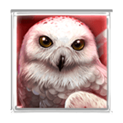 Icon 1 Wolf Fang Snowfall