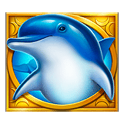 Icon 1 Dolphin’s Wealth Fortune