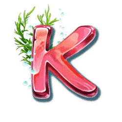 Icon 7 Turtle Paradise