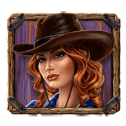 Icon 2 Van Der Wilde and the Outlaws