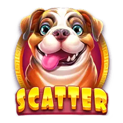 Scatter of Dog Pound Slot