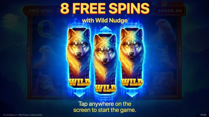 Wolf Power: Hold and Win slot screen 7