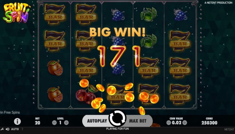 Fruit Spin slot screen 3