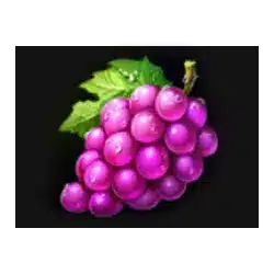 Icon 3 Imperial Fruits: 40 lines