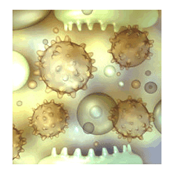 Icon 7 Madder Scientist