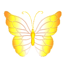 Icon 1 Butterfly Staxx 2