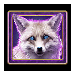 Icon 3 Arctic Enchantress