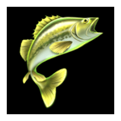 Icon 3 Amazing Catch