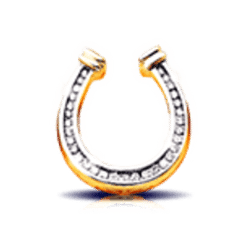 Icon 5 Princess Royal