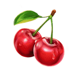 Icon 8 Dice Dice Baby