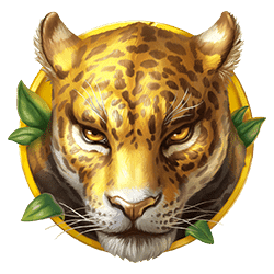 Icon 4 Silverback Gold