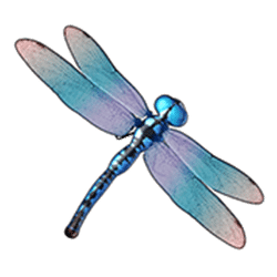 Icon 3 Big Bass Hold & Spin Megaways