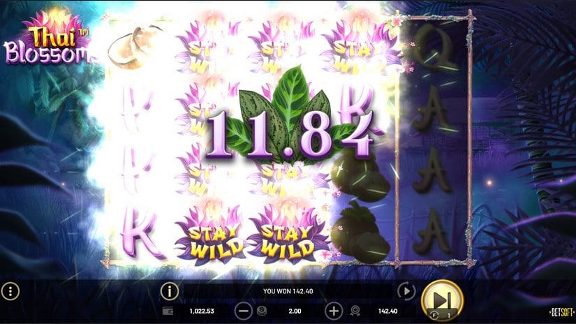 Thai Blossoms slot screen 4