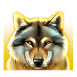 Icon 2 Wolf Spins 243