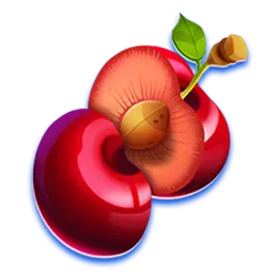 Icon 4 Super Cash Boost Hold & Win