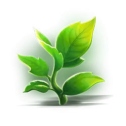 Icon 6 Potion Wizard