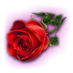 Icon 1 The Secret of the Opera