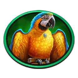 Icon 5 Pirate Golden Age