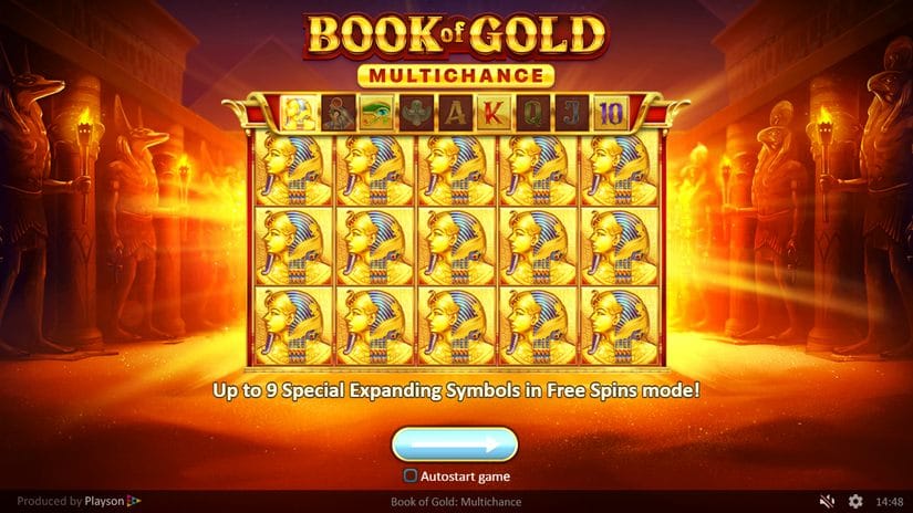 Book of Gold Multichance slot screen 3