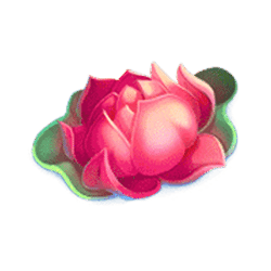 Icon 11 Mystic Fortune Deluxe