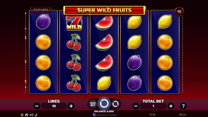 Super Wild Fruits slot screen 1