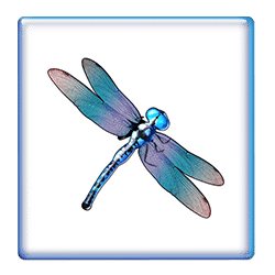 Icon 3 Big Bass Bonanza Megaways