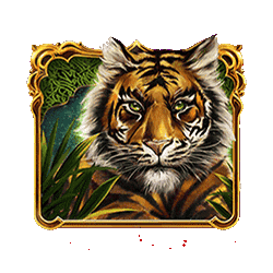 Icon 3 10,001 Nights