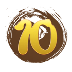 Icon 10 King of 3 Kingdoms