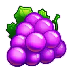 Icon 4 Super Sunny Fruits