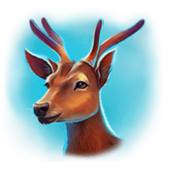 Icon 5 Way Of The Tiger