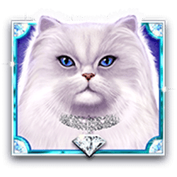 Icon 1 Kitty Glitter Grand