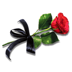 Icon 5 Phantom of the Opera Link & Win