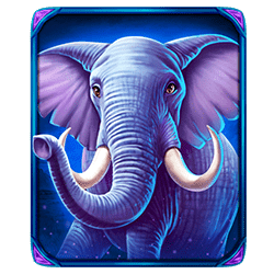 Icon 4 The Ultimate 5