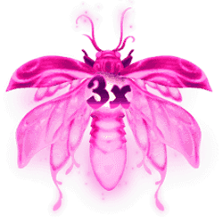 Icon 11 Firefly Frenzy