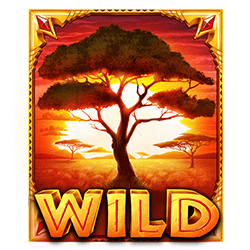 Wild Symbol of The Ultimate 5 Slot