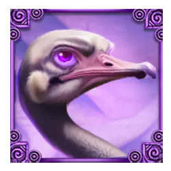 Icon 4 Wild White Rhino