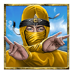 Icon 3 Ninja