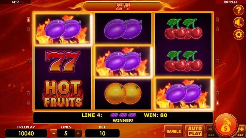 Hot Fruits Deluxe slot screen 2