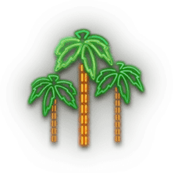 Icon 10 Miami Nights