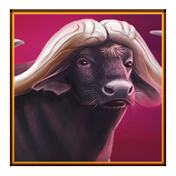 Icon 4 Majestic Megaways Extreme 4