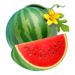 Icon 6 Burning Slots 100