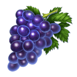 Icon 4 Hot’n’Fruity