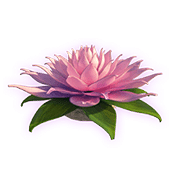 Scatter of Jungle Spirit: Call of the Wild Slot