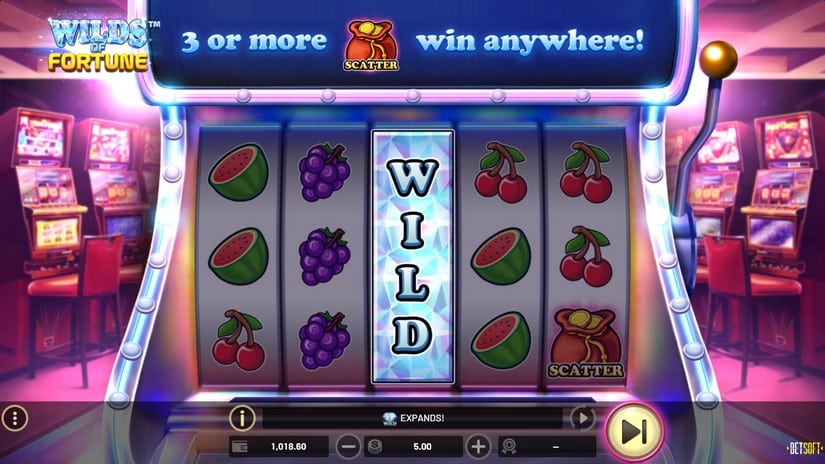 Wilds of Fortune slot screen 4