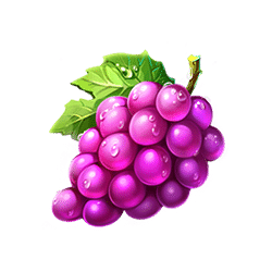 Icon 5 Fruits & Clovers 20 lines