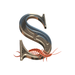 Icon 8 Victoria Wild