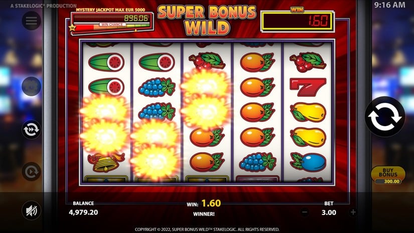 Super Bonus Wild slot screen 2