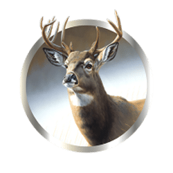 Icon 6 Wild Buffalo Bonanza