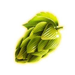 Icon 9 Oktober Spin Fest