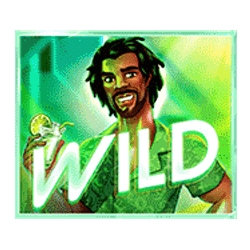 Wild Symbol of Summer Jam Slot